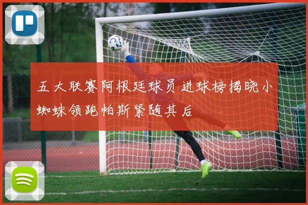 五大联赛阿根廷球员进球榜揭晓小蜘蛛领跑帕斯紧随其后